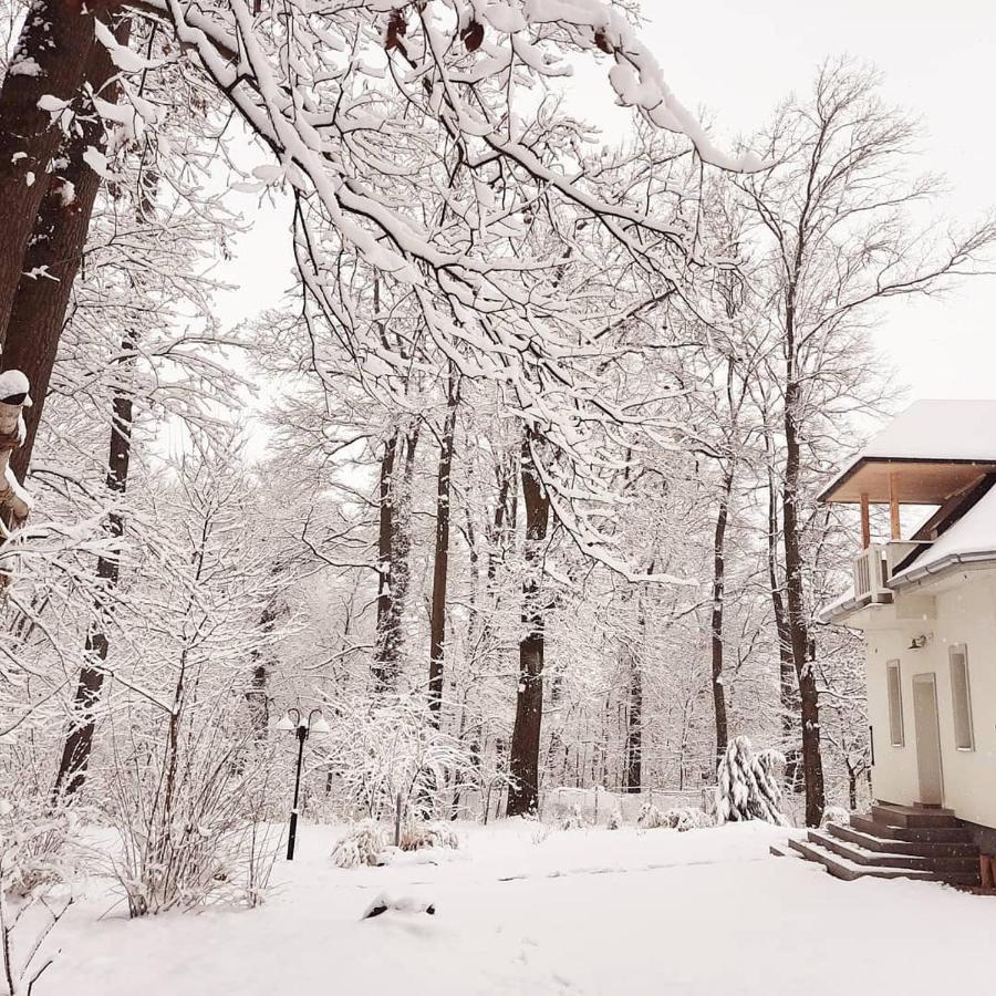 Hotel Magnólia Nagykanizsa Esterno foto